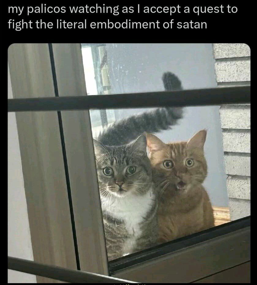 my palicos watching as I accept a quest to fight the literal embodiment of satan