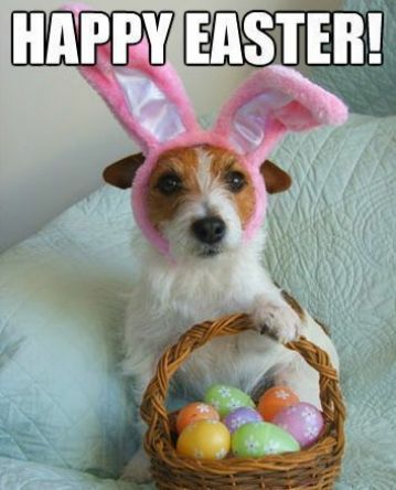 HAPPY EASTER!