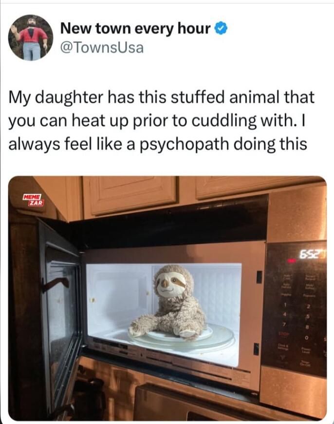 33 New town every hour TownsUsa My daughter has this stuffed animal that you can heat up prior to cuddling with always feel like a psychopath doing this