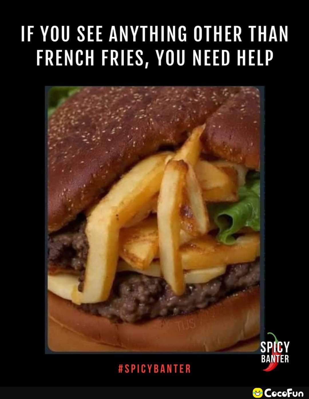 IF YOU SEE ANYTHING OTHER THAN FRENCH FRIES YOU NEED HELP