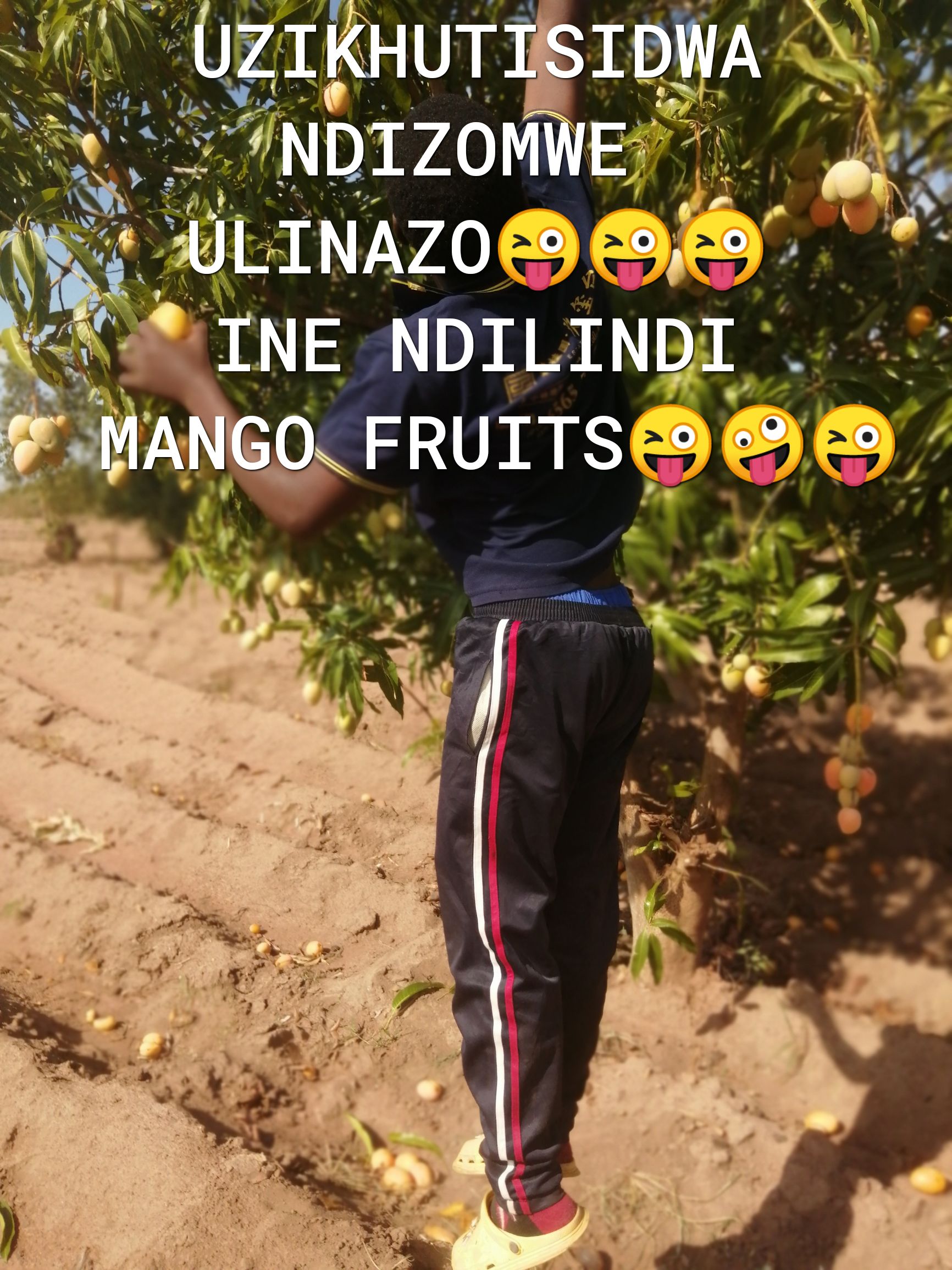 QZIUIQA f INDIZO