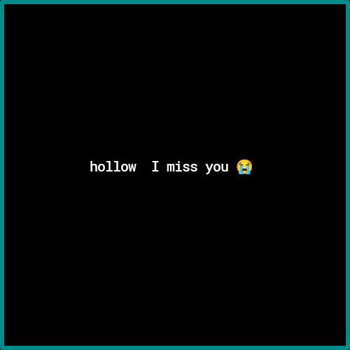 hollow I miss you