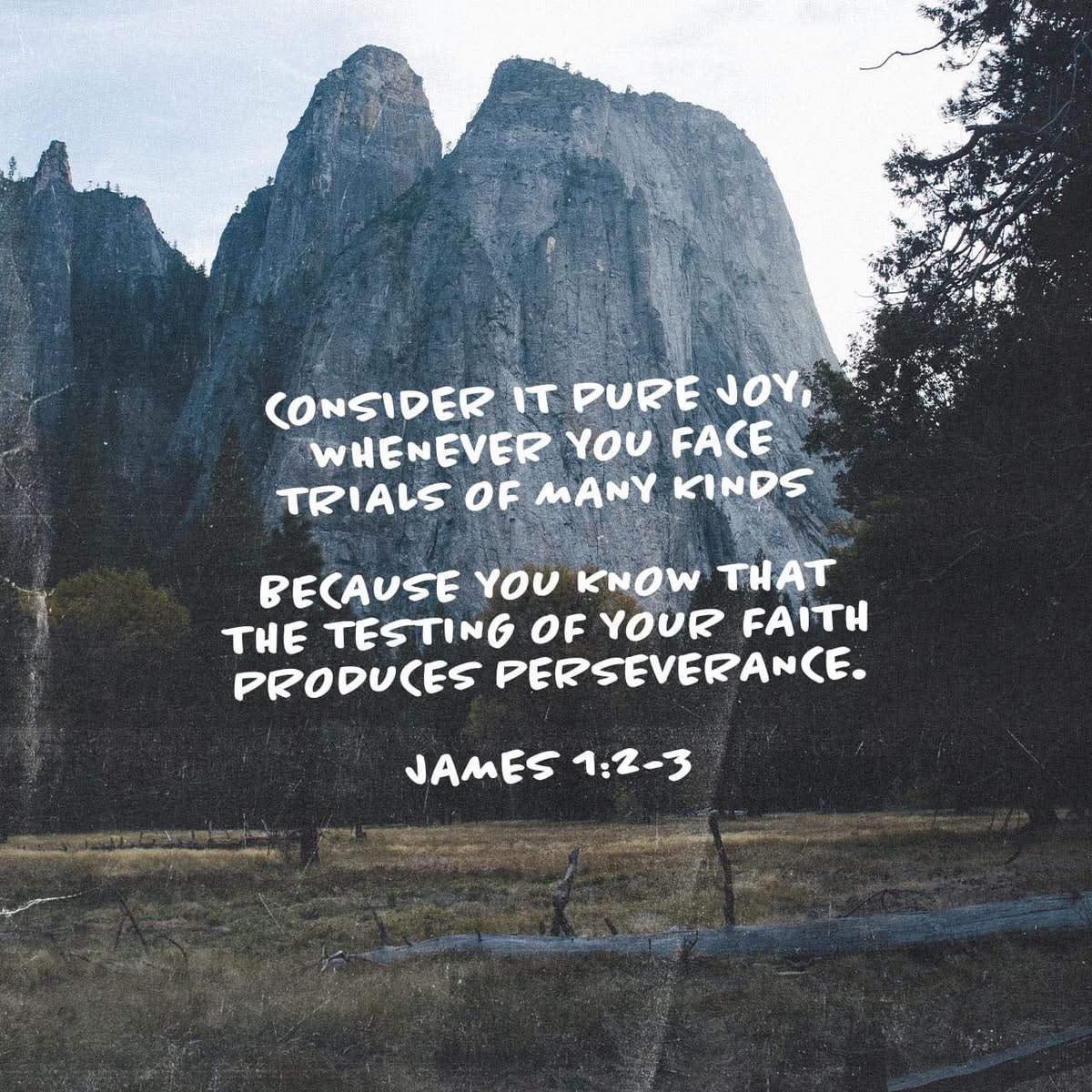 Consider it pure joy whenever you face trials of many kinds because you know that the testing of your faith produces perseverance. James 1:2-3