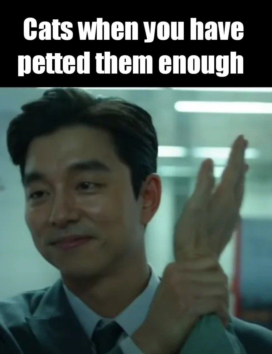Cats when you have petted them enough