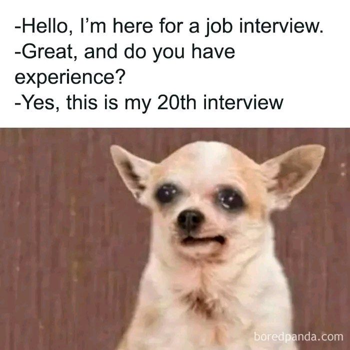 -Hello, I'm here for a job interview.
-Great, and do you have experience?
-Yes, this is my 20th interview