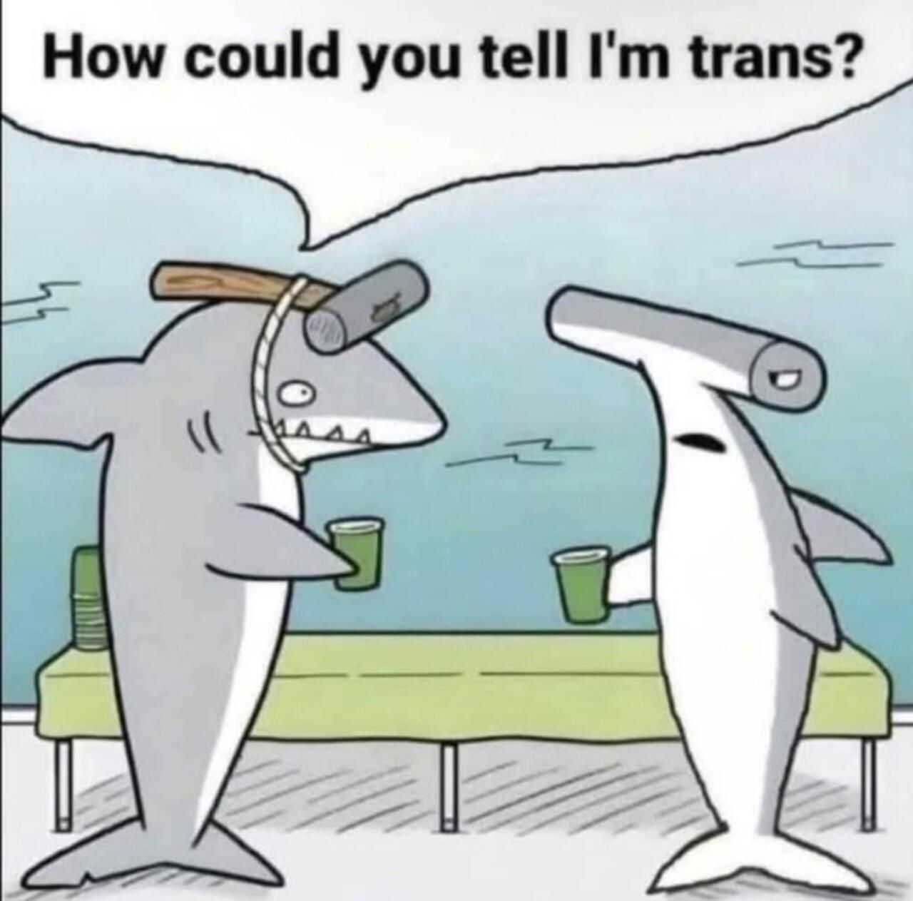 How could you tell I'm trans?