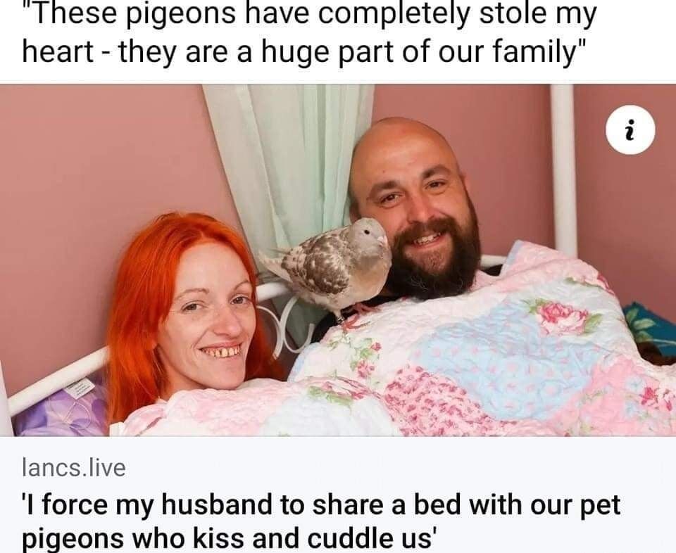 These pigeons have completely stole my heart - they are a huge part of our family. I force my husband to share a bed with our pet pigeons who kiss and cuddle us.