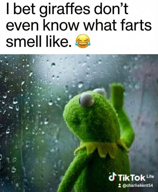 I bet giraffes don't even know what farts smell like. 😂