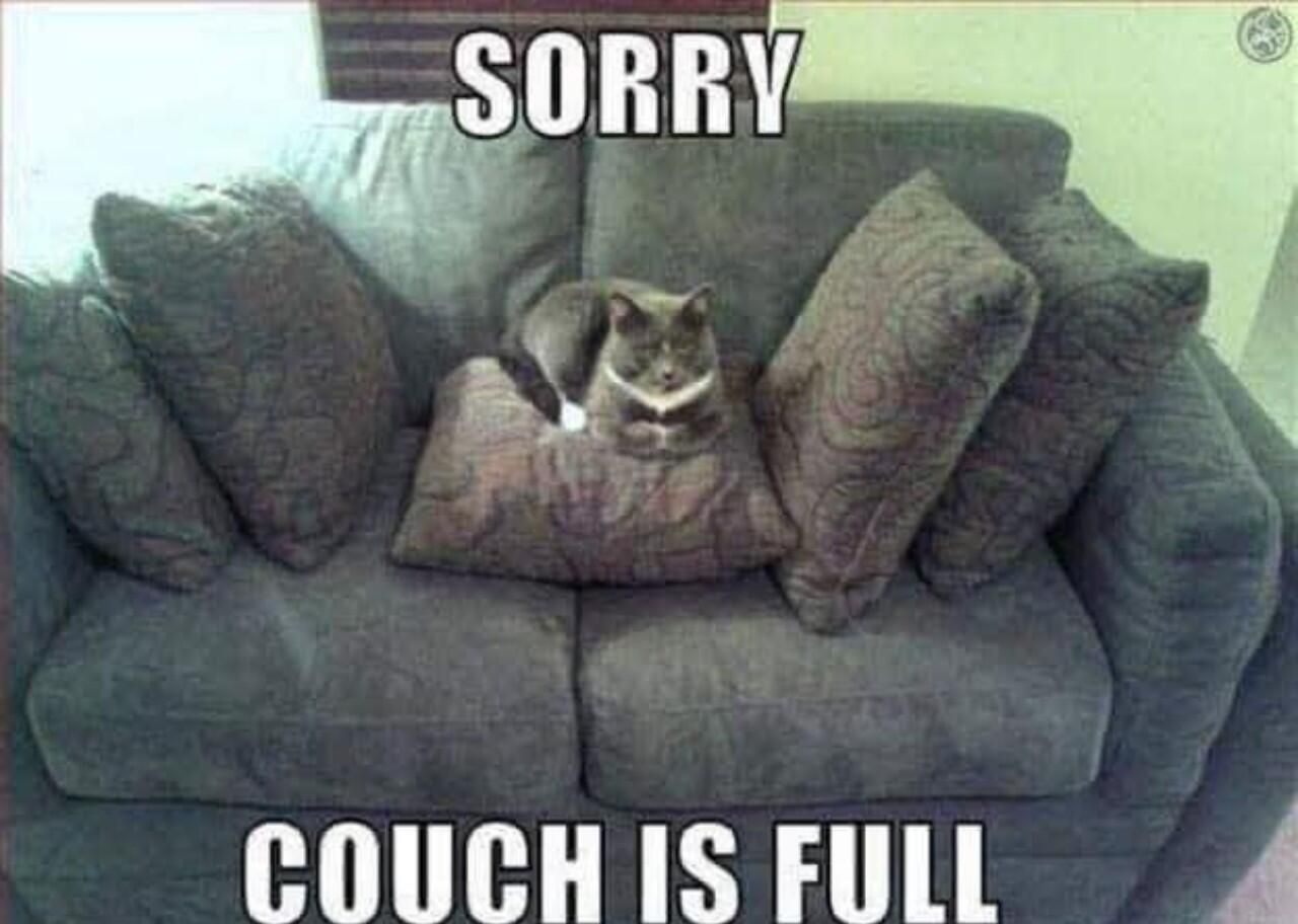 SORRY COUCH IS FULL