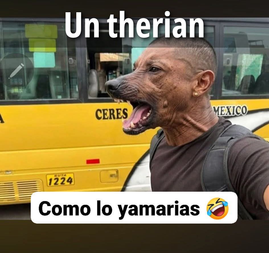A therian. What would you call it? 😂 A person with a dog's head (likely edited) is shown in front of a yellow bus. The bus has 'CERES' and 'MEXICO' written on it, along with 'RUTA 1224'.