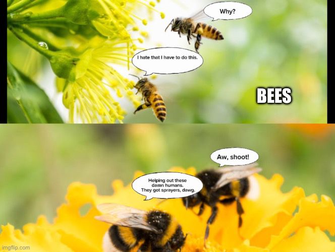 Why? I hate that I have to do this. BEES. Aw, shoot! Helping out these damn humans. They got sprayers, dawg.