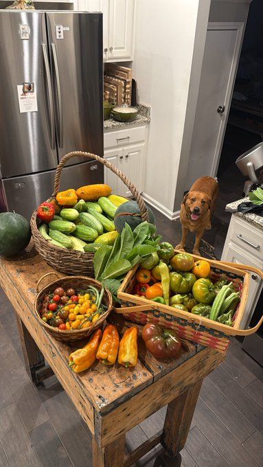 A bountiful harvest of fresh vegetables and fruits, including cucumbers, tomatoes, peppers, and watermelons, displayed on a rustic wooden table in a kitchen. A happy dog stands in the background.