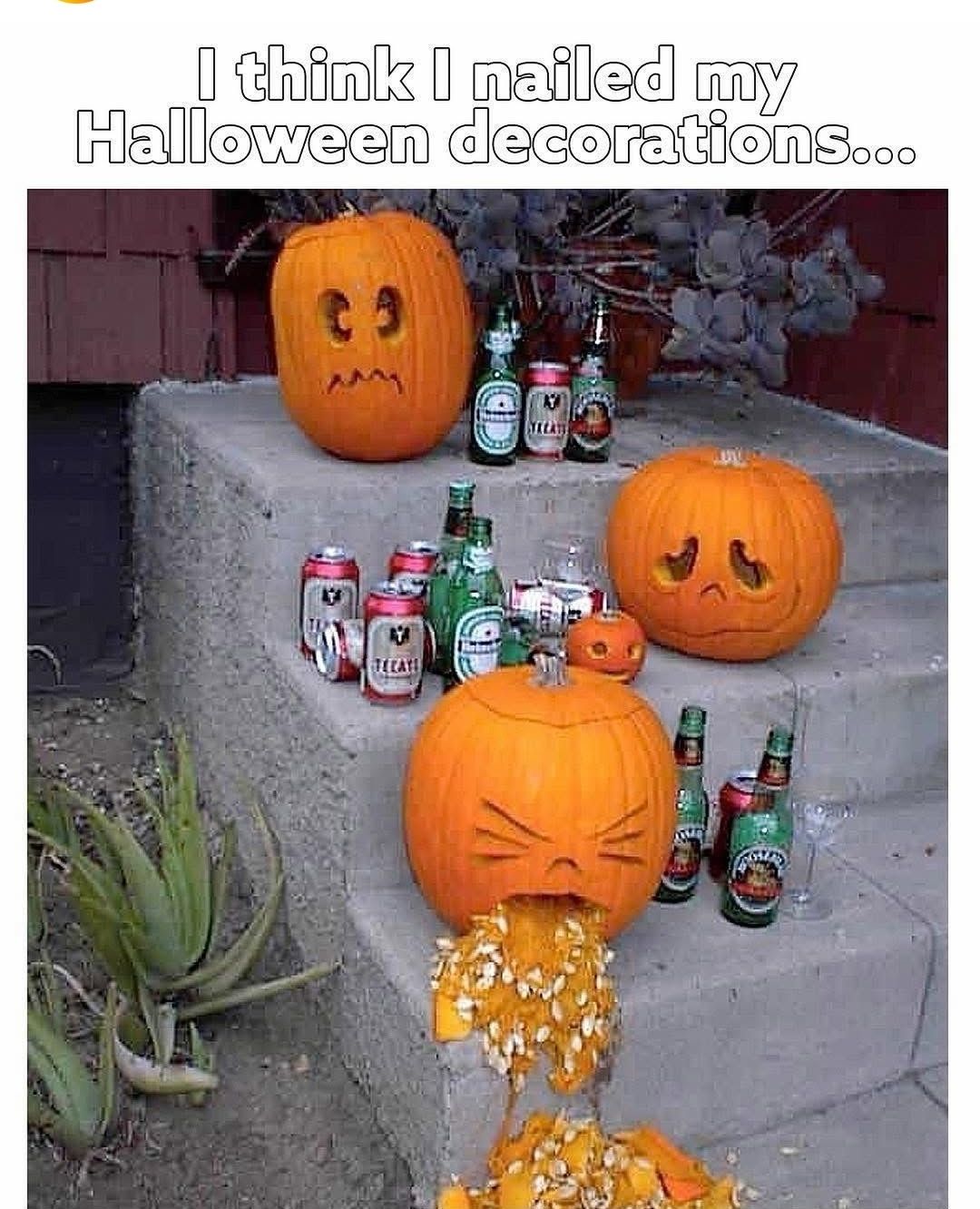 I think I nailed my Halloween decorations...