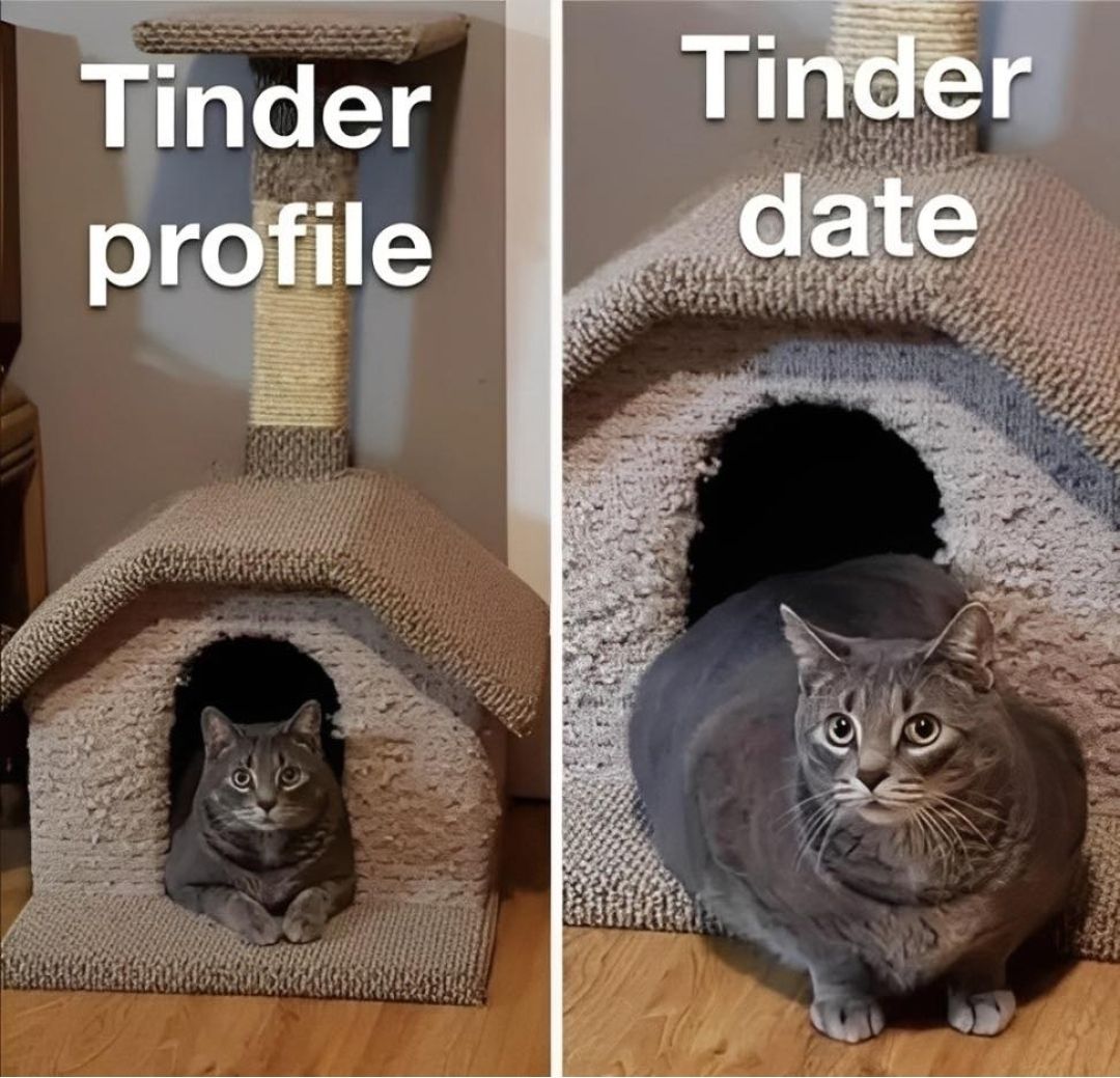 Tinder profile

Tinder date