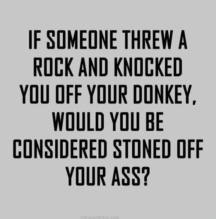 IF SOMEONE THREW A ROCK AND KNOCKED YOU OFF YOUR DONKEY, WOULD YOU BE CONSIDERED STONED OFF YOUR ASS?