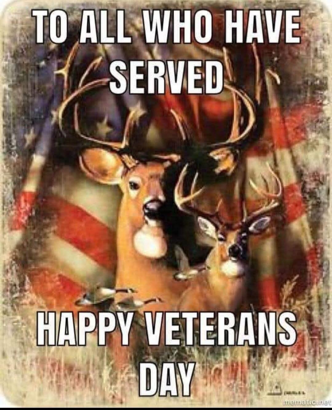 TO ALL WHO HAVE SERVED
HAPPY VETERANS DAY