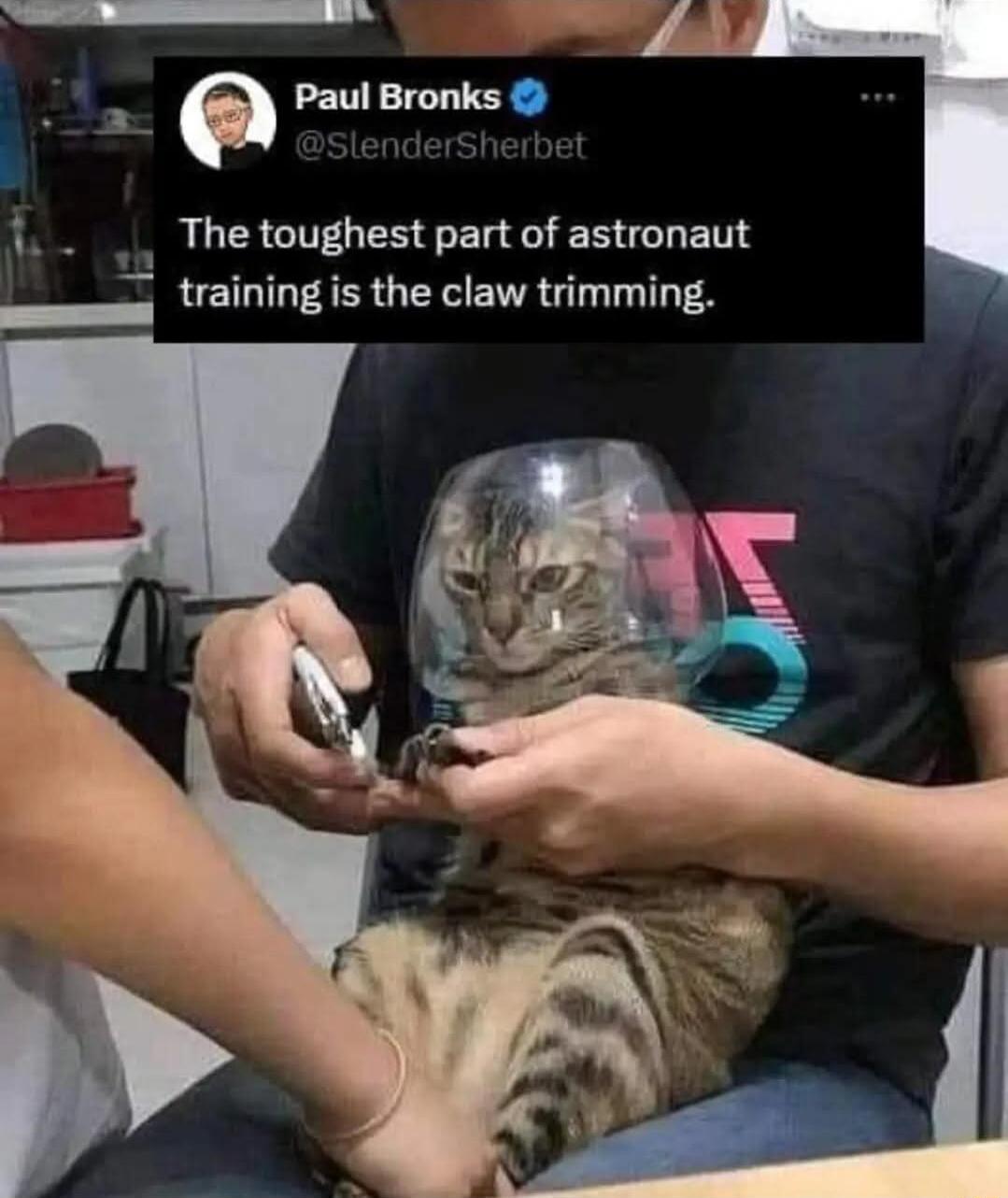 a Paul Bronks The toughest part of astronaut training is the claw trimming