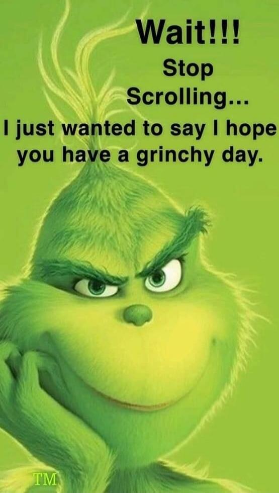 Wait!!! Stop Scrolling... I just wanted to say I hope you have a grinchy day.
