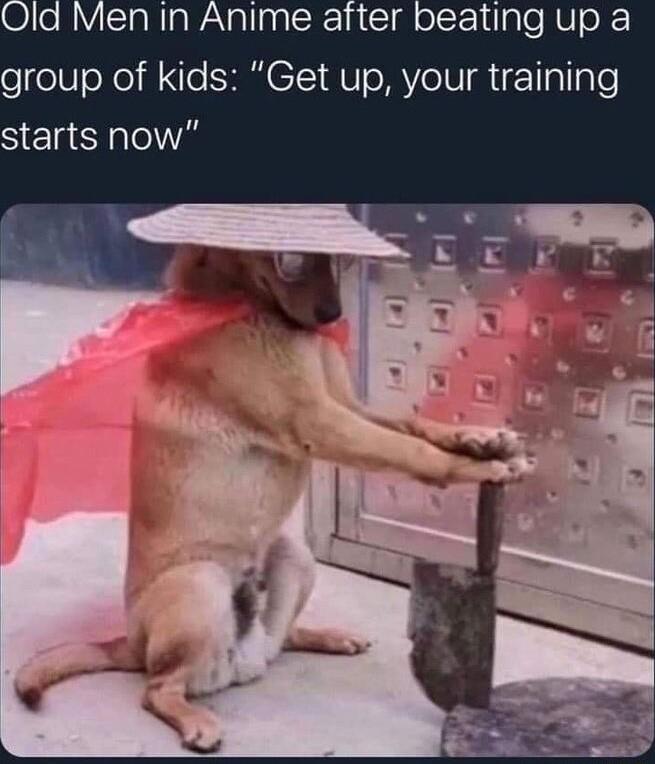 d Men in Anime after beating up a group of kids Get up your training SEETalol WV