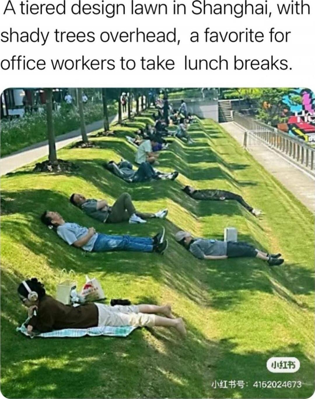 A tiered design lawn in Shanghai, with shady trees overhead, a favorite for office workers to take lunch breaks.