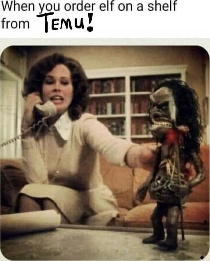 When you order elf on a shelf from TEMU!