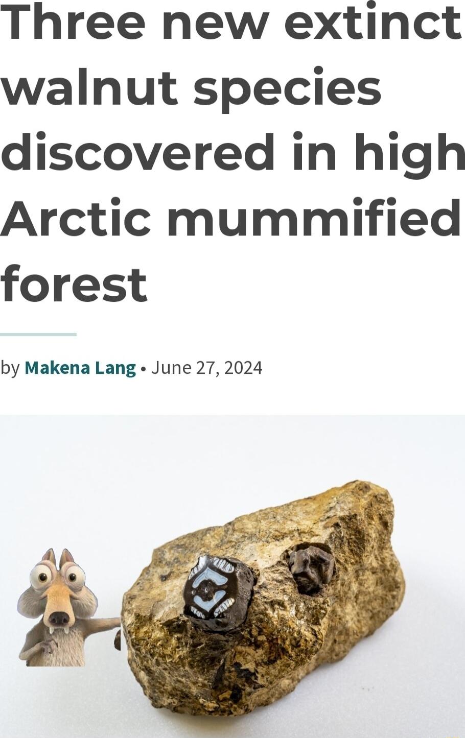 Three new extinct walnut species discovered in high Arctic mummified forest by Makena Lang June 27 2024