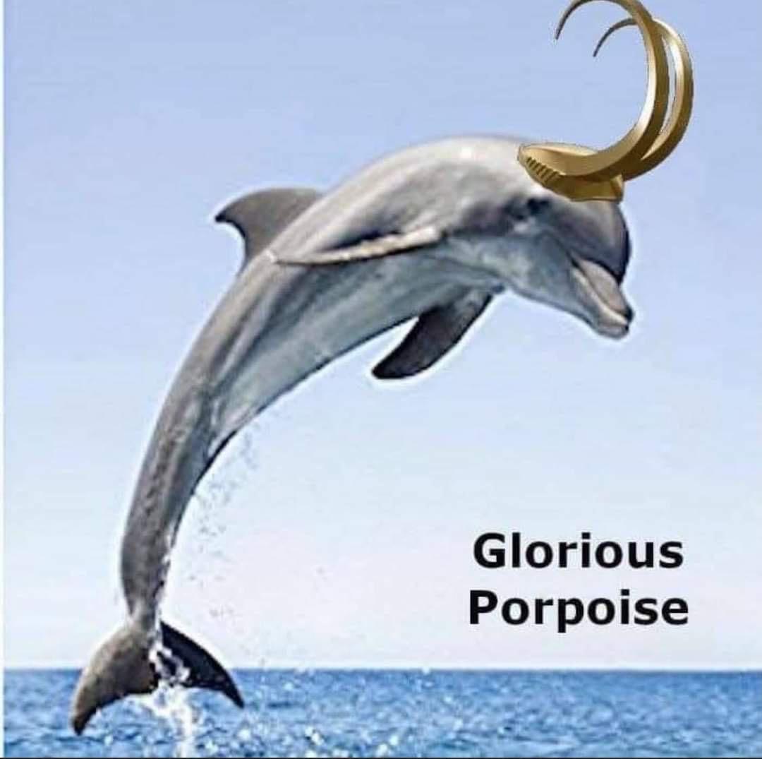 Glorious Porpoise