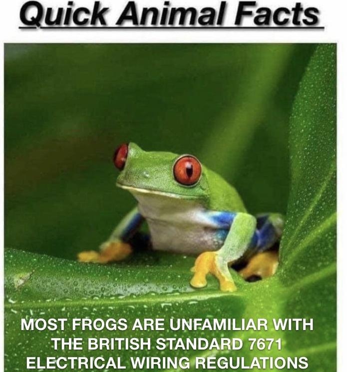 Quick Animal Facts MDST FROGS AHE UNFAMILI THE BRITISH STAND ELECTRICAL WIRI