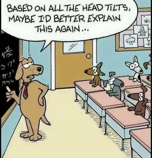 BASED ON ALL THE HEAD TILTS, MAYBE I'D BETTER EXPLAIN THIS AGAIN...