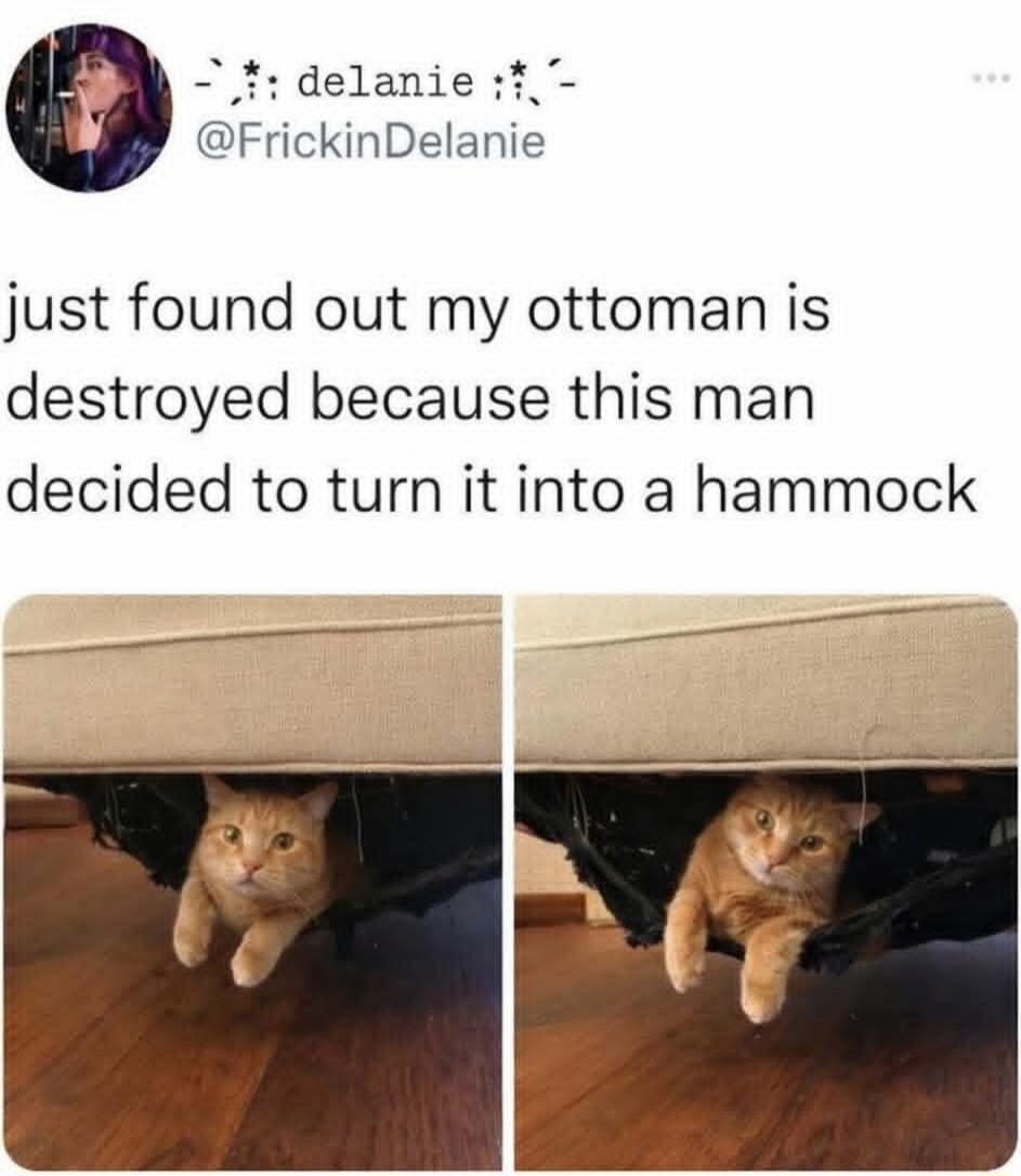 just found out my ottoman is destroyed because this man decided to turn it into a hammock