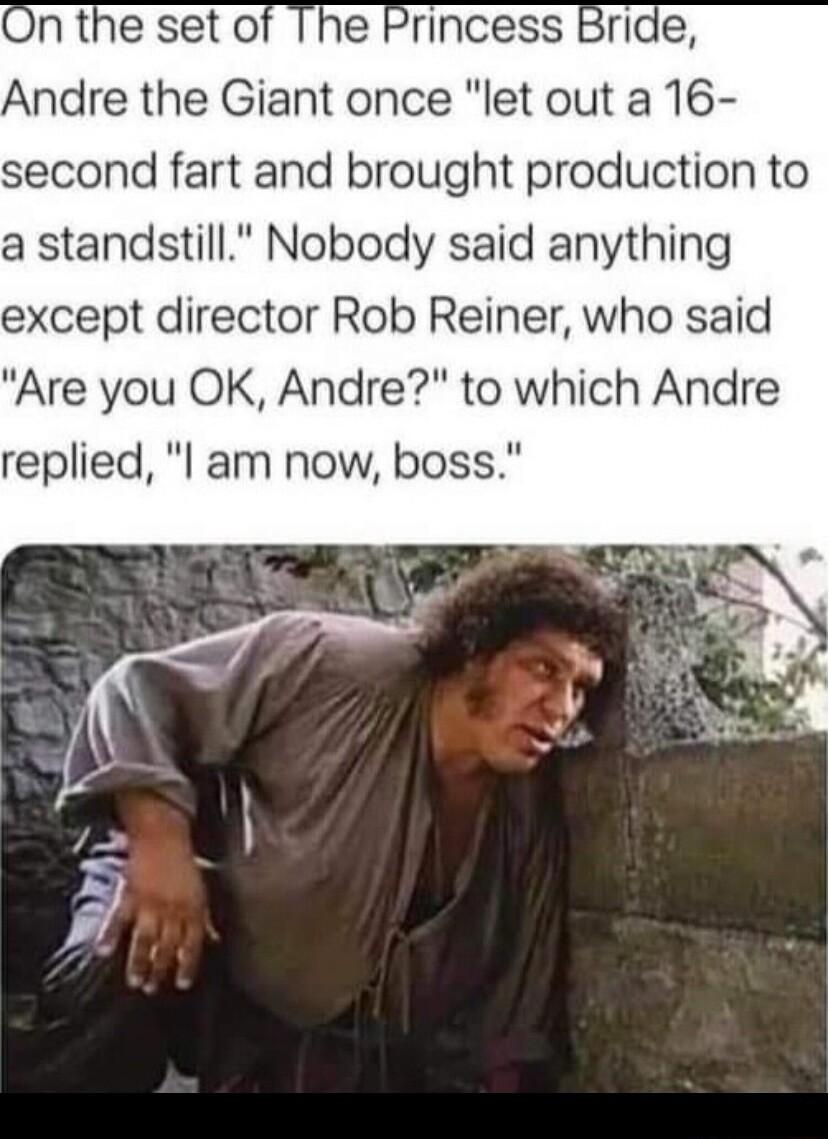 Princess Bride Andre the Giant once let out a 16 second fart and brought production to a standstill Nobody said anything except director Rob Reiner who said Are you OK Andre to which Andre replied l am now boss
