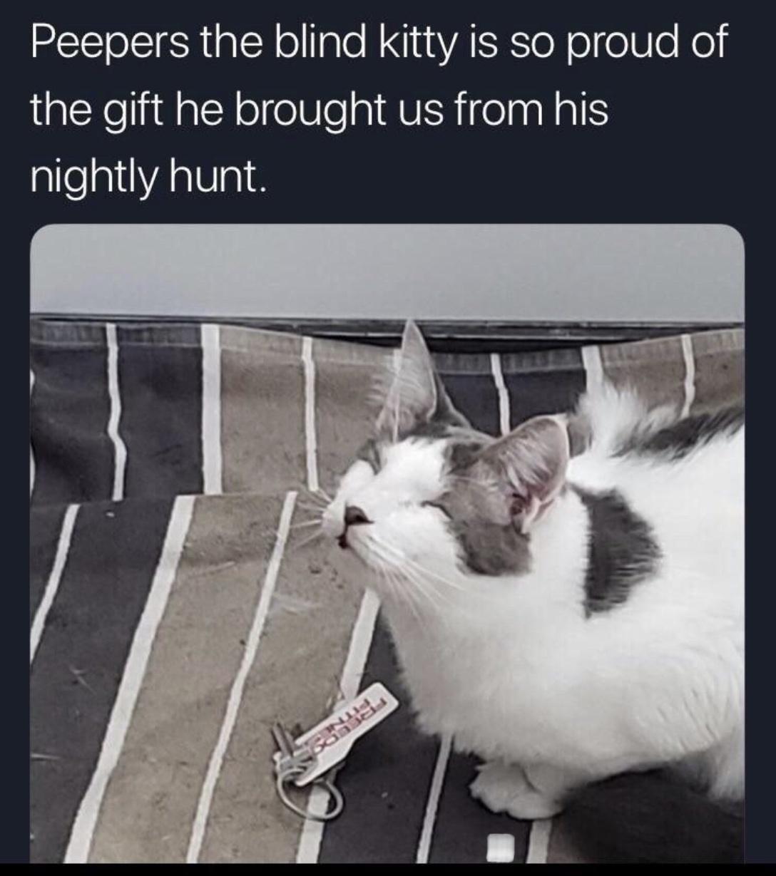 REETOER Y oale R t VATSR e o oV e Ko the gift he brought us from his nightly hunt