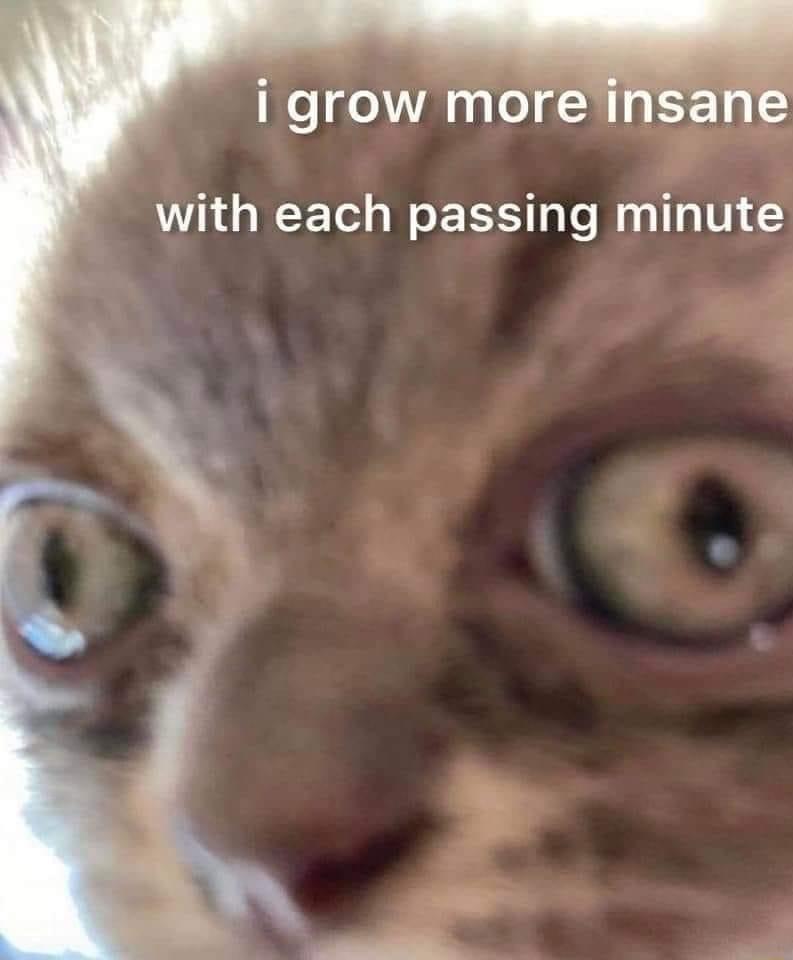 i grow mo with each passing minute