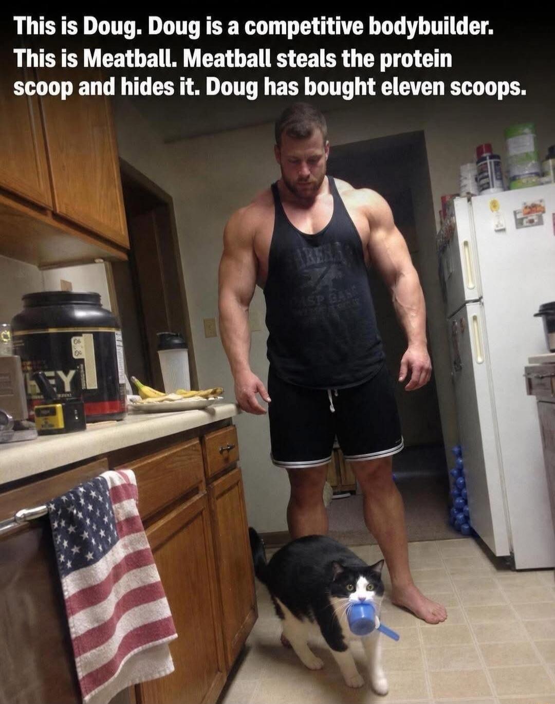 This is Doug. Doug is a competitive bodybuilder. This is Meatball. Meatball steals the protein scoop and hides it. Doug has bought eleven scoops.