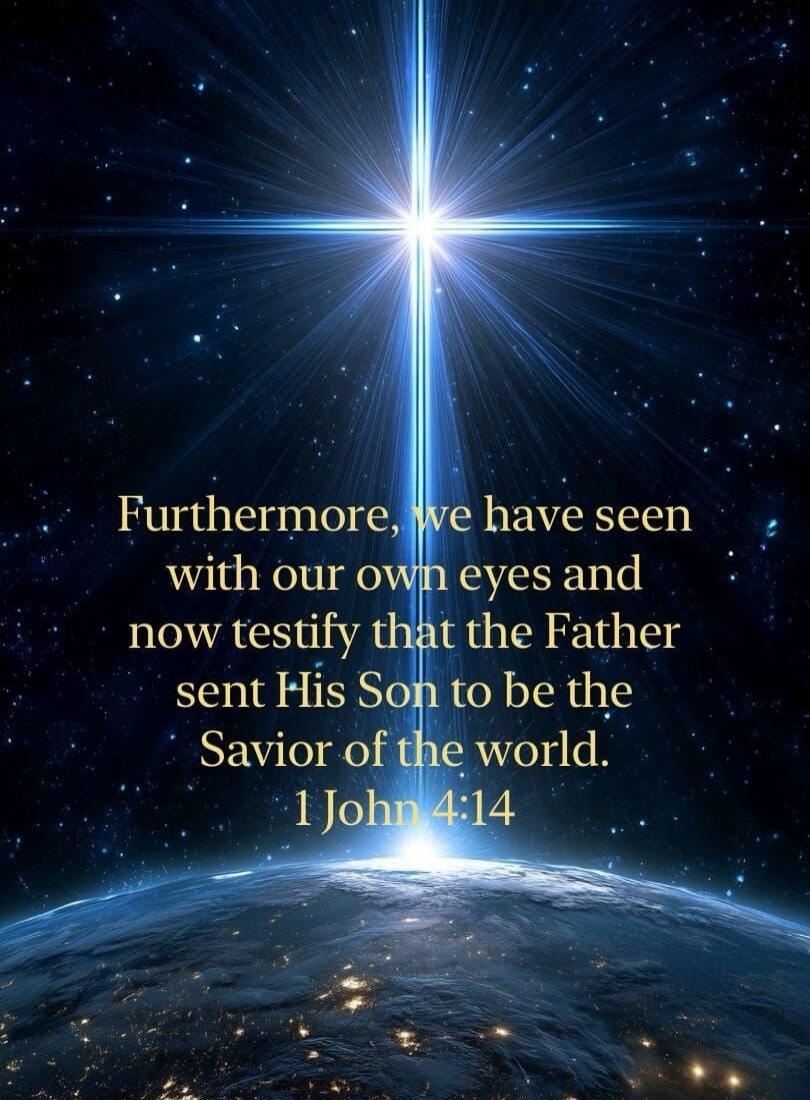 Furthermore, we have seen with our own eyes and now testify that the Father sent His Son to be the Savior of the world. 1 John 4:14