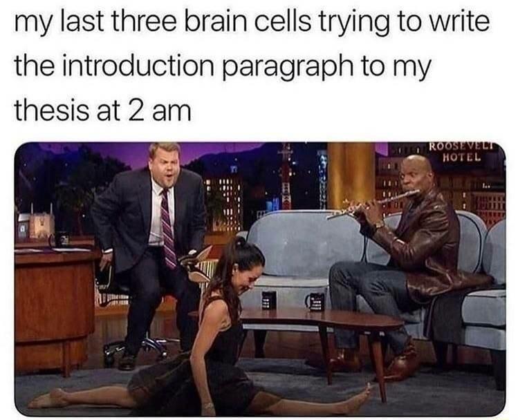 my last three brain cells trying to write the introduction paragraph to my thesis at 2 am