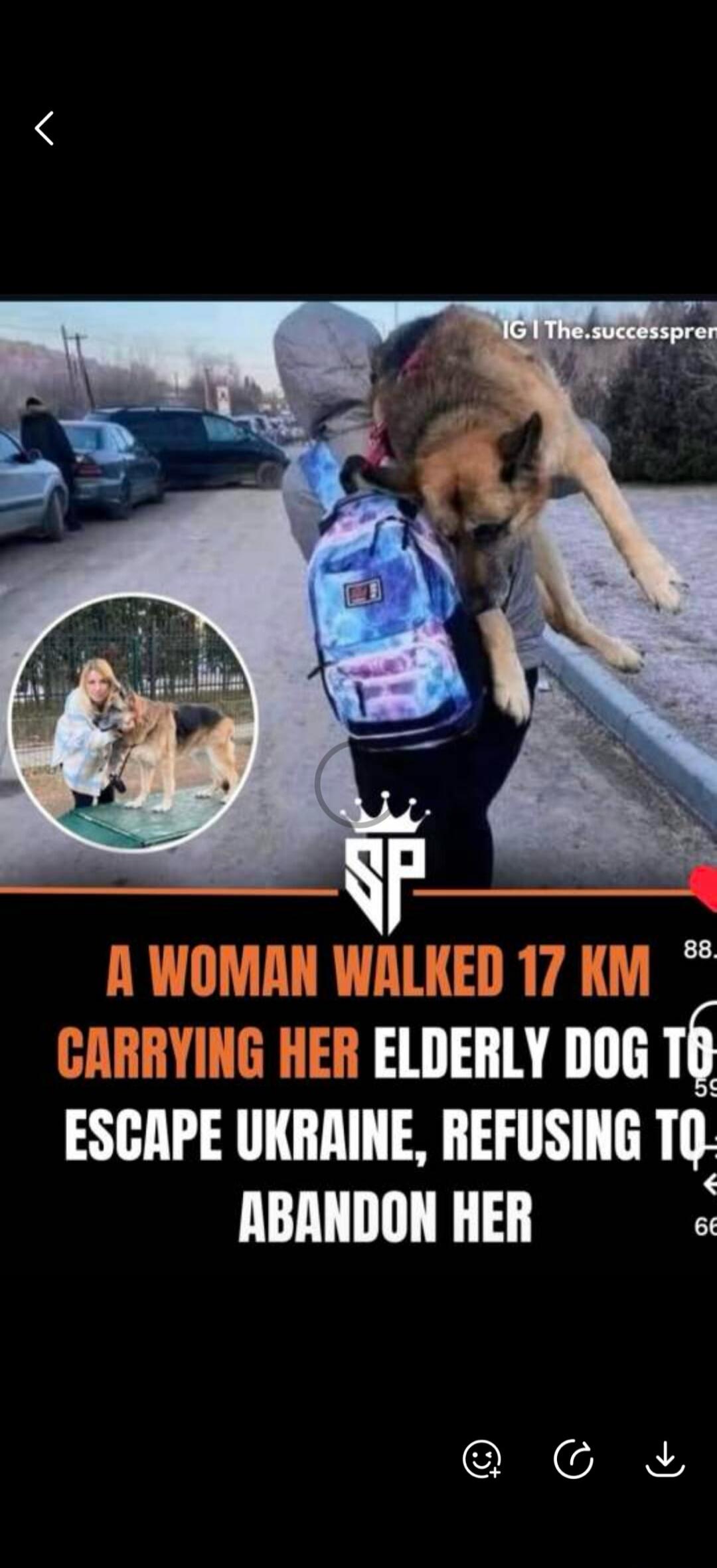 A woman walked 17 km carrying her elderly dog to escape Ukraine, refusing to abandon her. IG The.successpren.