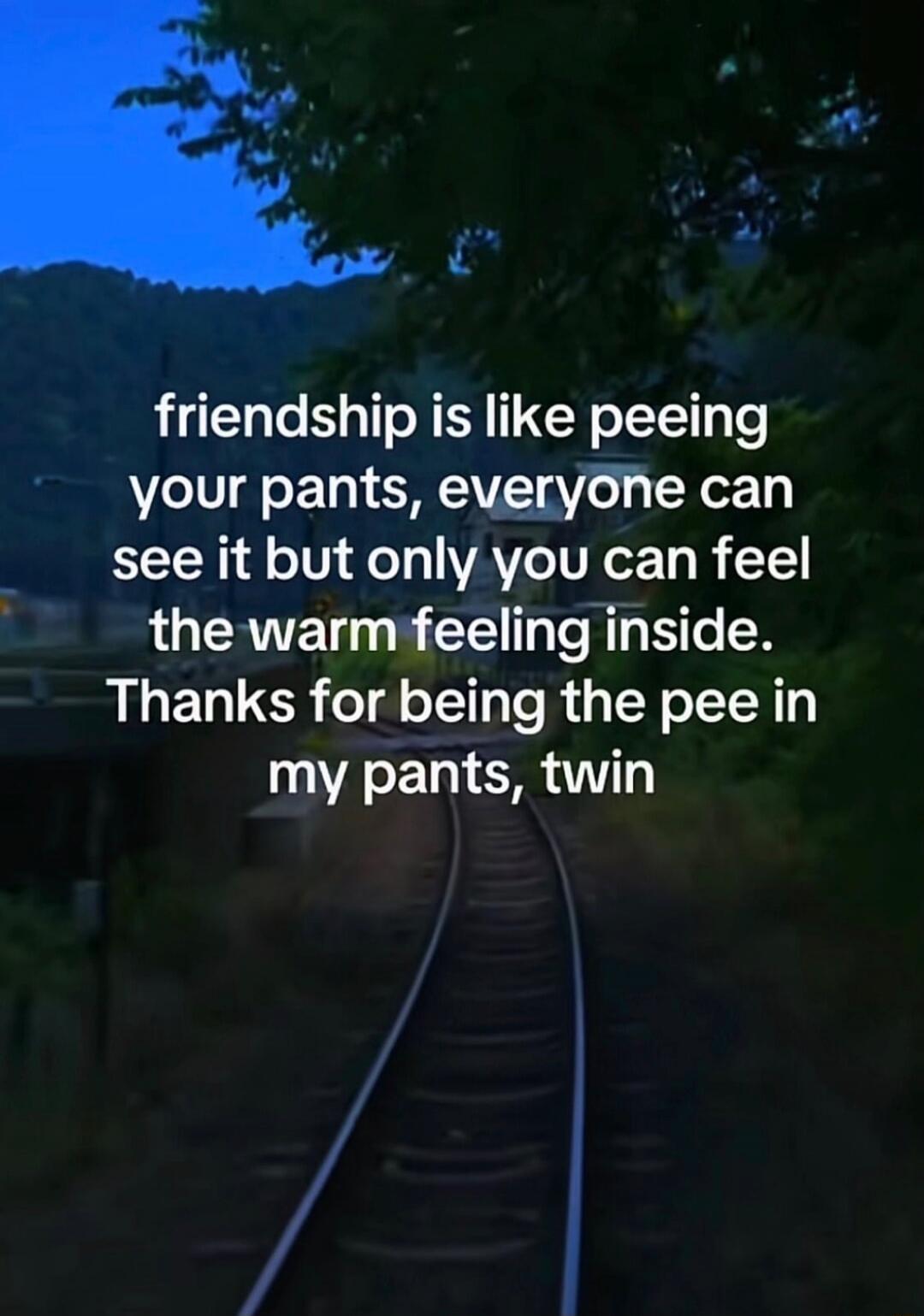 friendship is like peeing your pants, everyone can see it but only you can feel the warm feeling inside. Thanks for being the pee in my pants, twin
