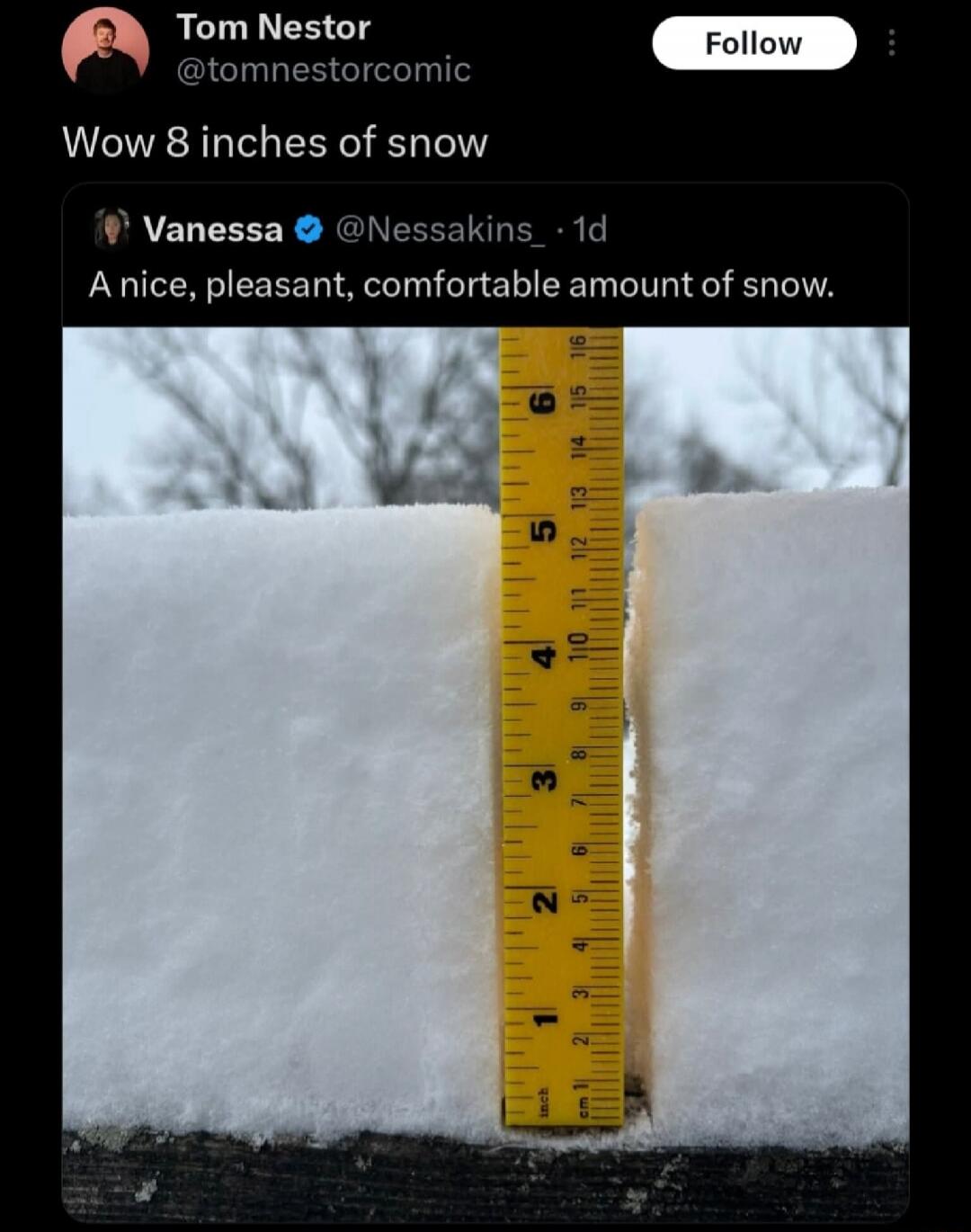 Tom Nestor Wow 8 inches of snow Vanessa A nice, pleasant, comfortable amount of snow.