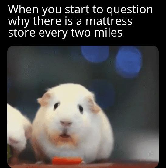 When you start to question W AGEICR SR ET SS store every two miles