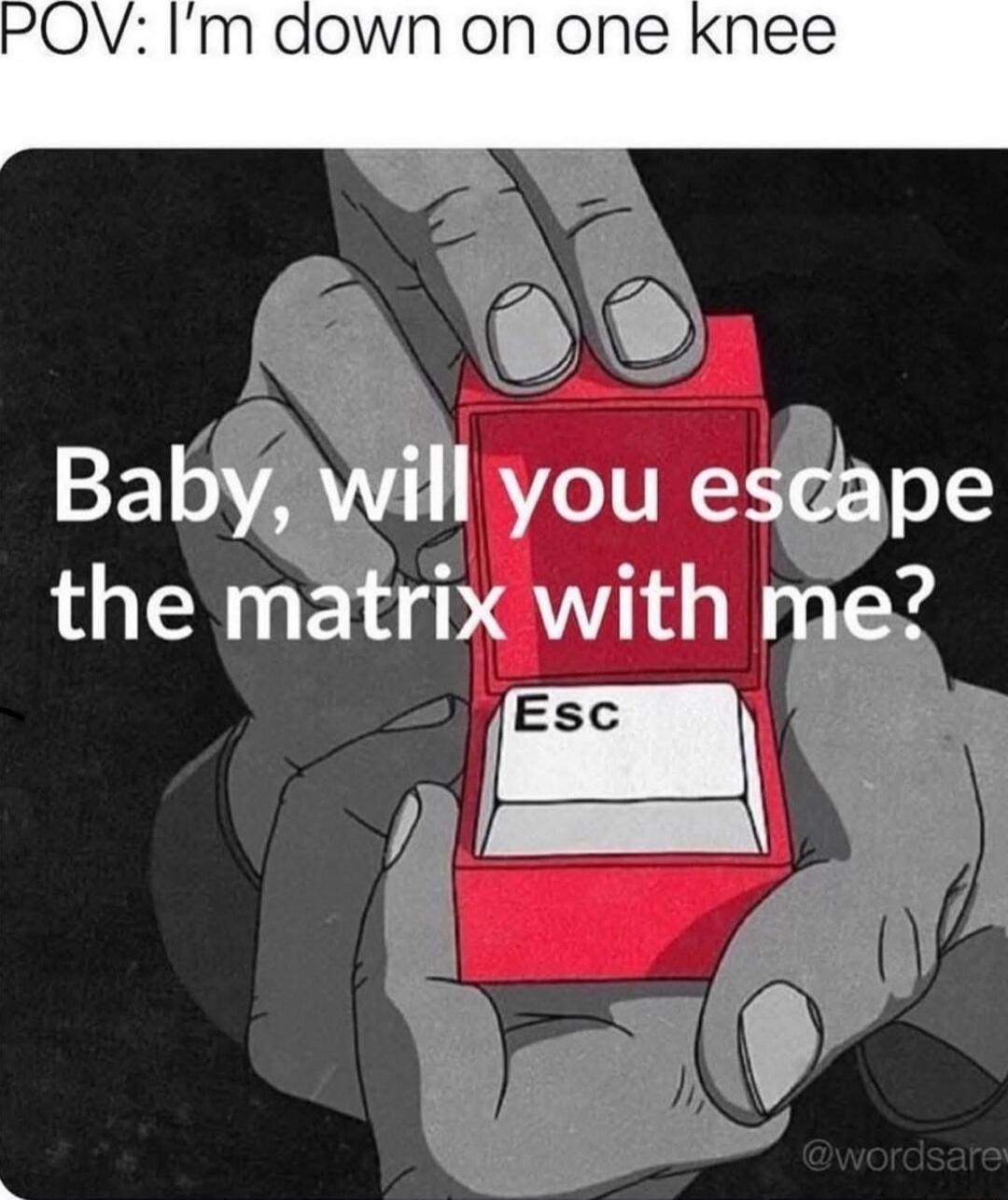 POV: I’m down on one knee
Baby, will you escape the matrix with me?
Esc