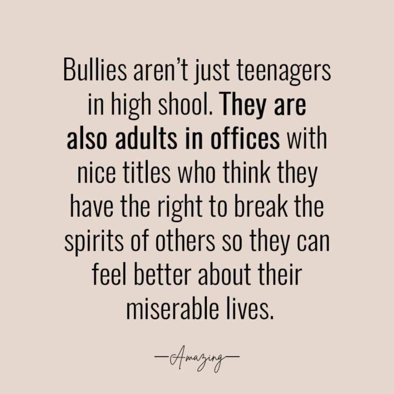 Bullies arent just teenagers in high shool They are also adults in offices with nice titles who think they have the right to break the spirits of others so they can feel better about their miserable lives Soegore
