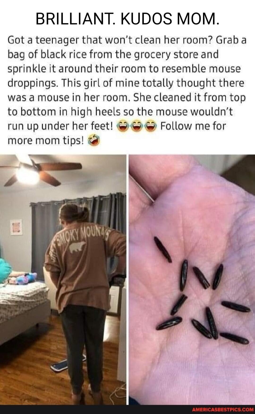 BRILLIANT KUDOS MOM Got a teenager that wont clean her room Grab a bag of black rice from the grocery store and sprinkle it around their room to resemble mouse droppings This girl of mine totally thought there was a mouse in her room She cleaned it from top to bottom in high heels so the mouse wouldnt run up under her feet Follow me for more mom tips