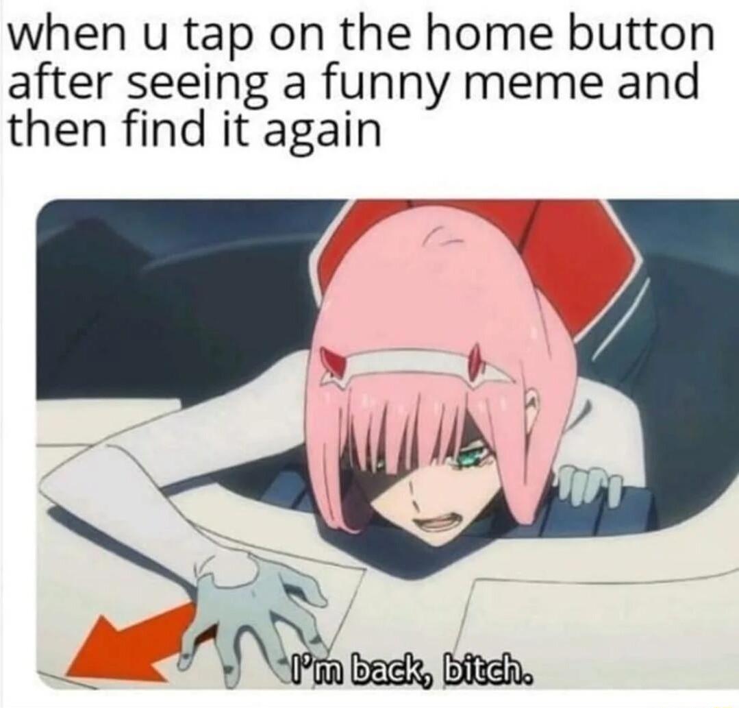 when u tap on the home button after seeing a funny meme and then find it again Fia