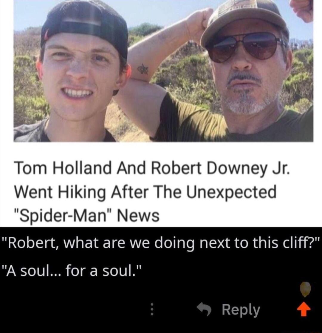 Tom Holland And Robert Downey Jr Went Hiking After The Unexpected Spider Man News Robert what are we doing next to this cliff A soul for a soul