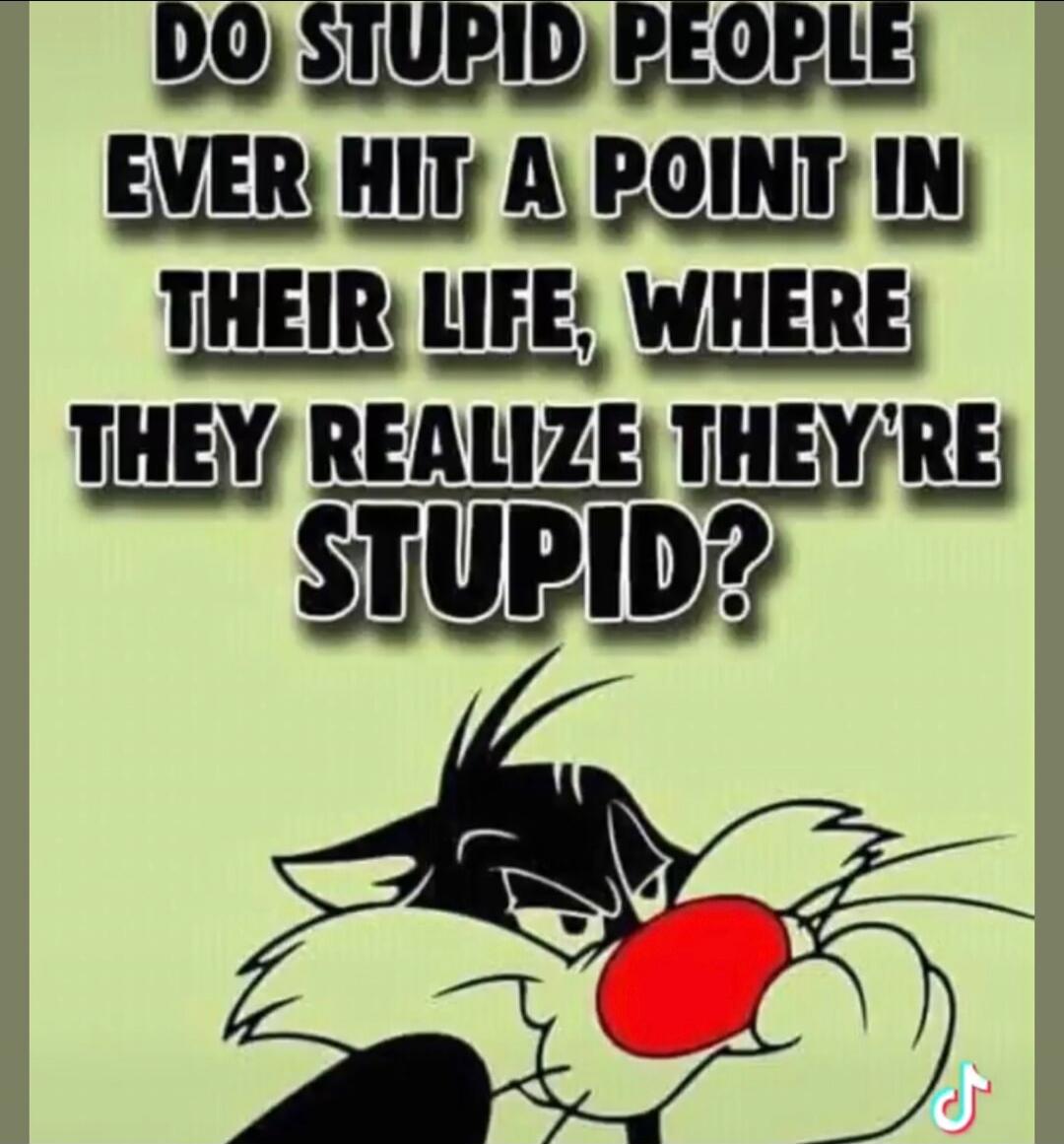 DO STUPID PEOPLE EVER HIT A POINT IN THEIR LIFE, WHERE THEY REALIZE THEY'RE STUPID?