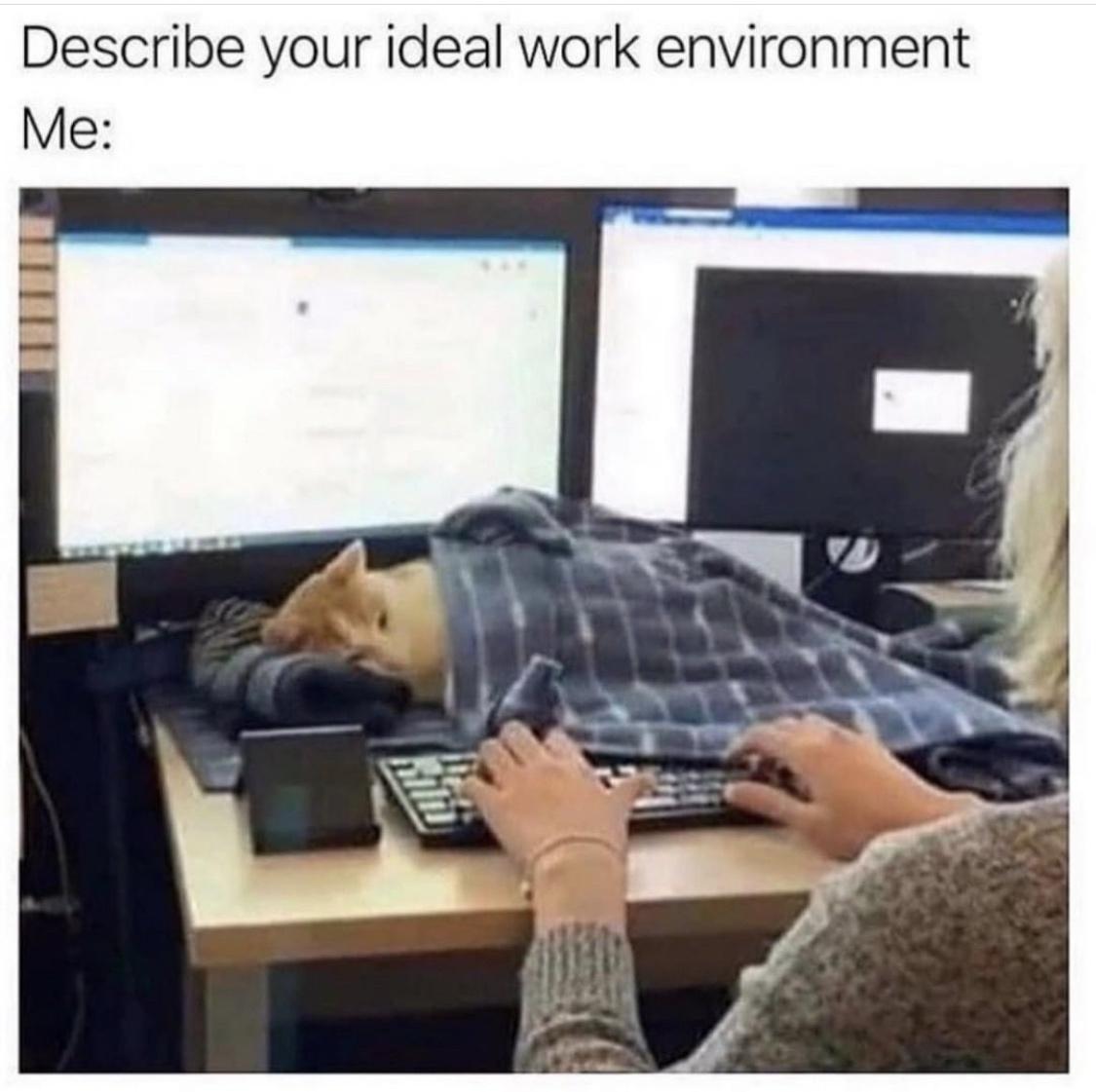 Describe your ideal work environment Me