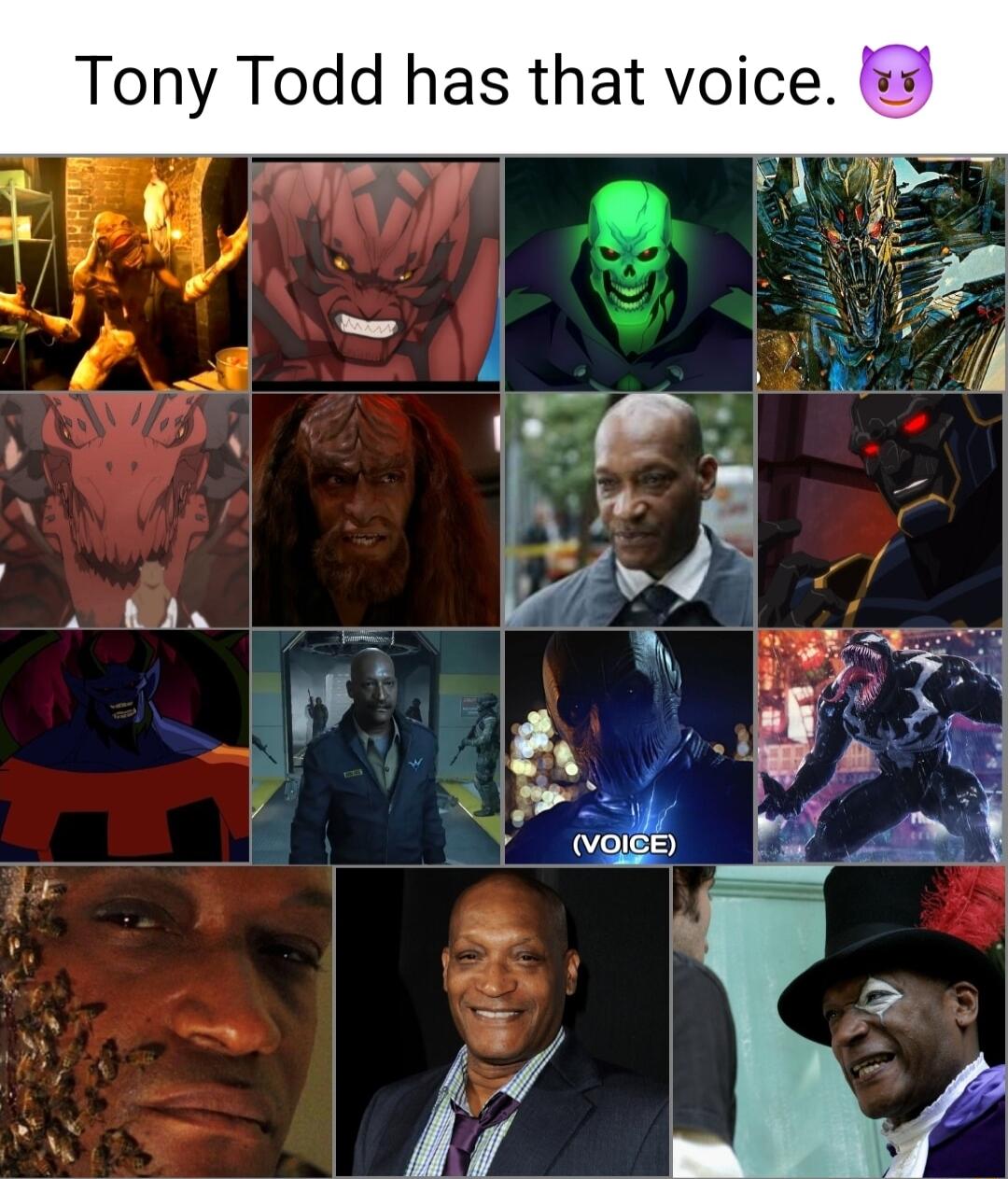 Tony Todd has that voice