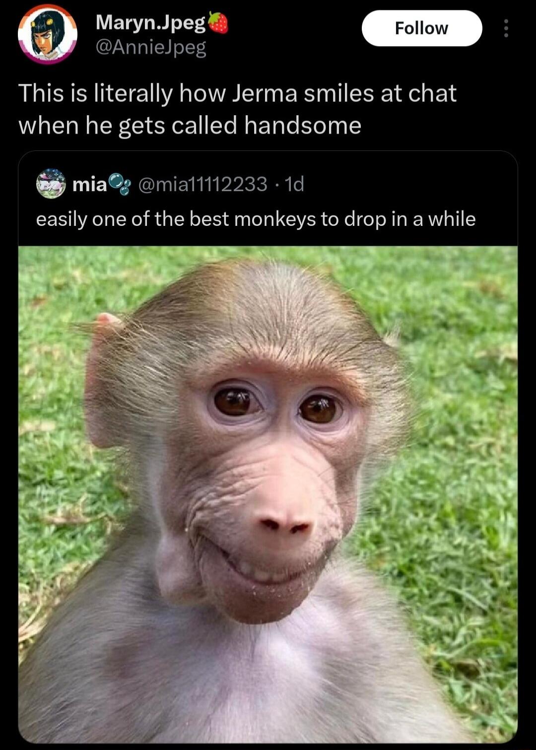 MarynJpeg Follow This is literally how Jerma smiles at chat when he gets called handsome mia mial 1112233 easily one of the best monkeys to drop in a while
