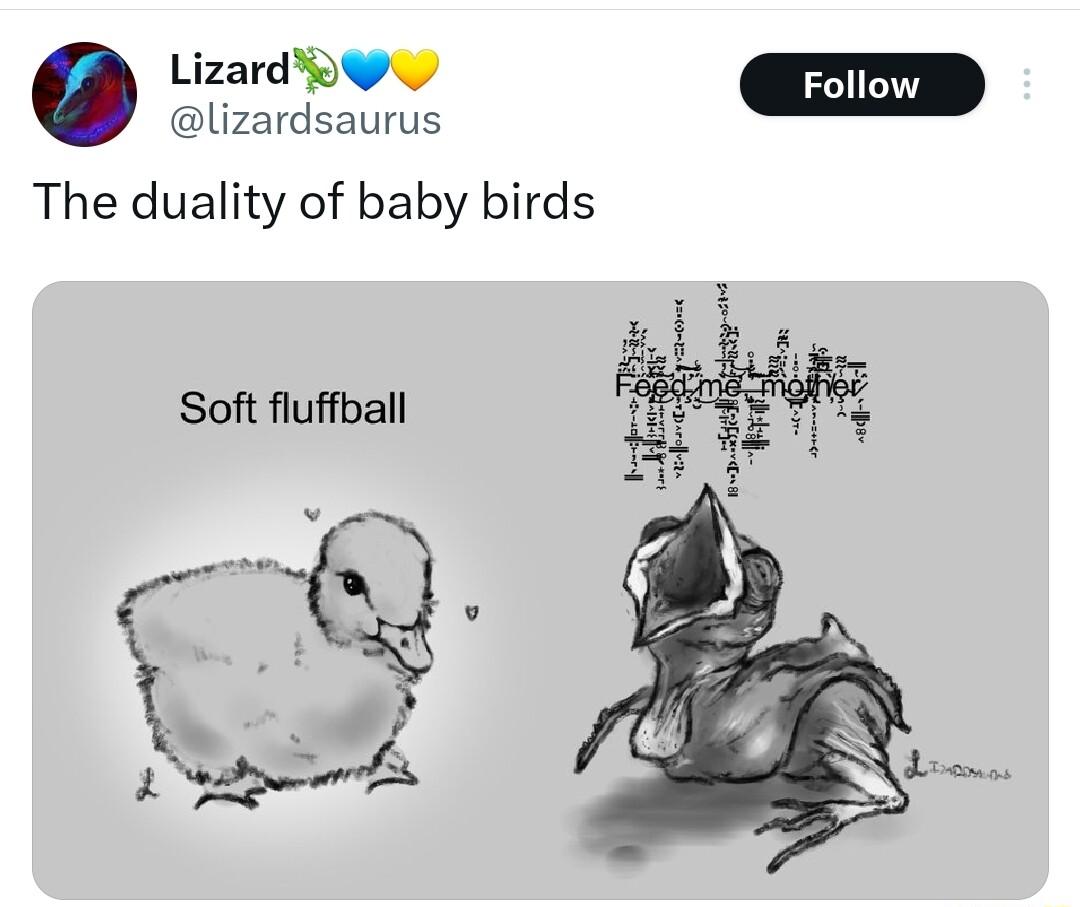 lizardsaurus The duality of baby birds Soft fluffball L_Q